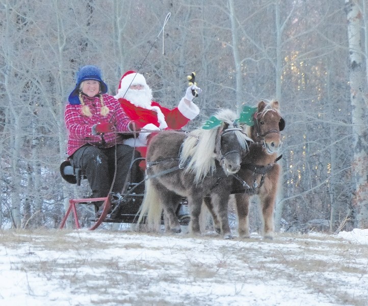 Kathleen and Santa Claus out for a ride led by her two miniatures.