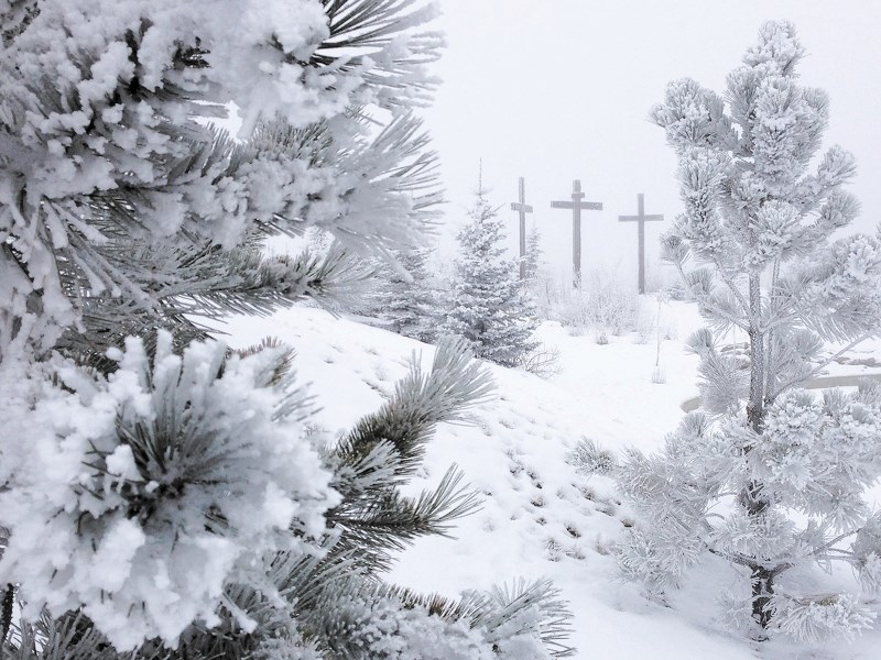 St. Mary&#8217;s Sacred Garden in the hoarfrost on the weekend of Dec. 1, though short-lived, provided one of my most treasured listening-heart experiences from the past year.