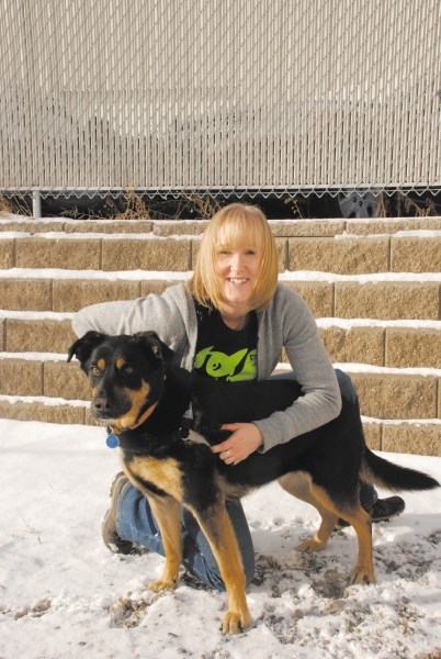 Cheryl Wallach, spokesperson for Cochrane and Area Humane Society with Lylah, a three-year-old Rottweiler mix found in Rocky View County are pleased the society recently