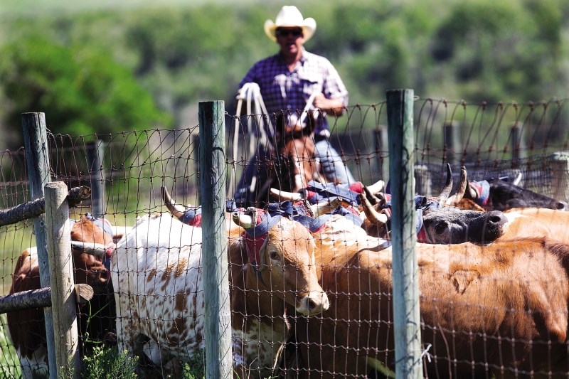 The WineGlass Ranch holds its annual roping event each summer; one of many traditions the ranch has continued after it was handed down to the next generations of ranchers