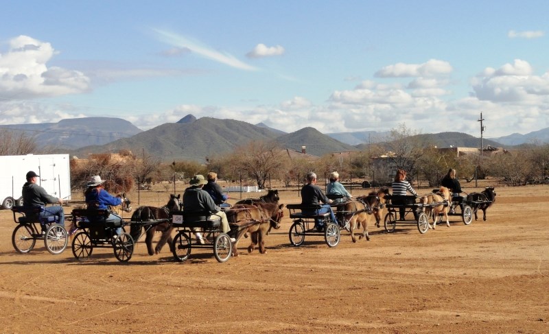 The Arizona Mini Mystique Drill Team puts their horses through their paces.