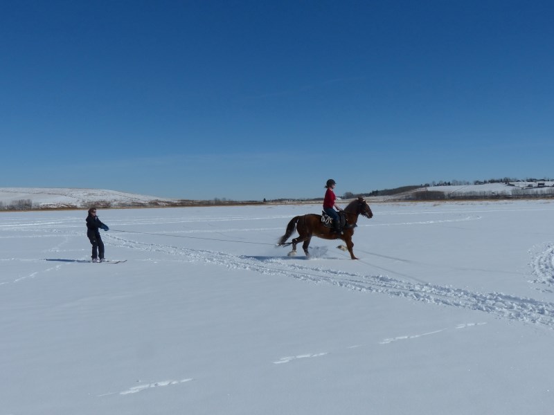 Skijoring on March 9 near Cochrane using a horse.