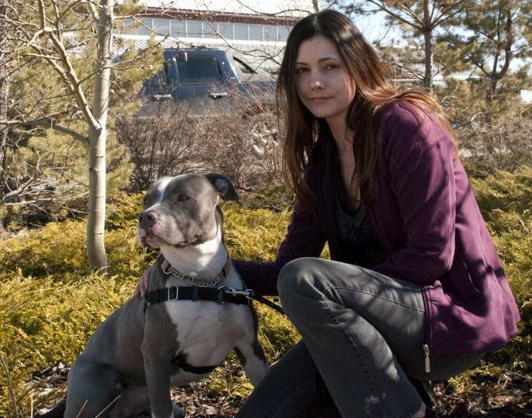 The proceeds from Cochrane and Area Humane Society&#8217;s used book sale will go to support the animals in the hands of the shelter like Diamond, pictured here with CAHS