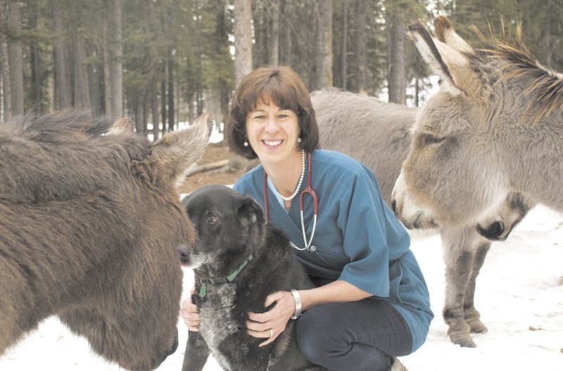 Dr. Judith Samson-French and her team have been honoured by the Canadian Veterinary Medical Association for their work on Dogs With No Names.