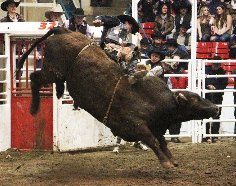 Cochrane bull rider Steven Turner looks for a way out after slapping the bull Little Bit of Sugar at the Calgary Roughstock Rumble April 13. Turner didn&#8217;t take any