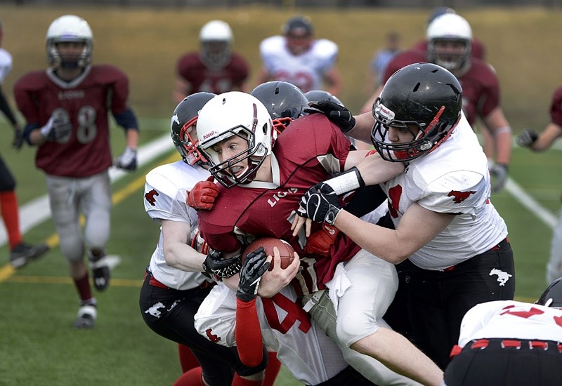 Cochrane Lions quarterback Des Catellier fights for yards against the Calgary Stamps in Calgary and Area Midget Football Association play May 2 at Calgary&#8217;s Shouldice