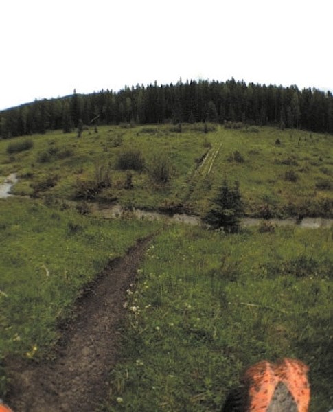 A wooden bridge across a drainage ditch was swept away during the flood but, overall, engineered single-track trails at McLean Creek Public Land Use Zone held up well.