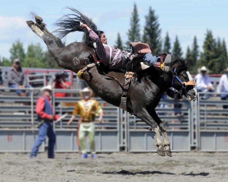 A cowboy competes in the rodeo at the annual Tsuu T&#8217;ina First Nation Rodeo and Powwow. This year&#8217;s event takes place July 26 to 28 at the Redwood Fair Grounds and 