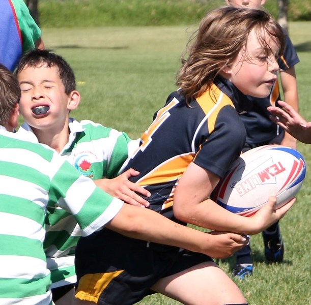Bow Valley Cubs ball-carrier Hal Smith runs through Calgary Saracens tacklers during U11 play at the Calgary Rugby Union rugby festival July 20. The Cubs, who were joined by