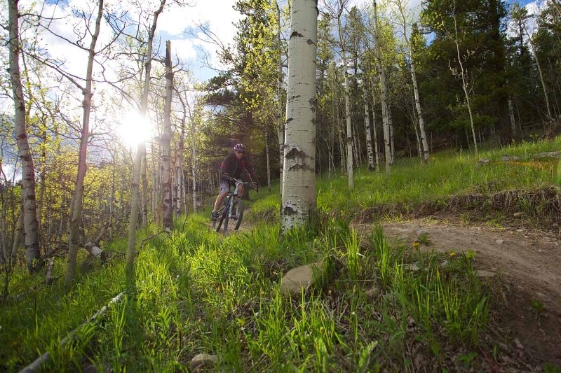 One of the benefactors from the VIMFF&#8217;s Best of the Fest Tour will be the Greater Bragg Creek Trails Association.