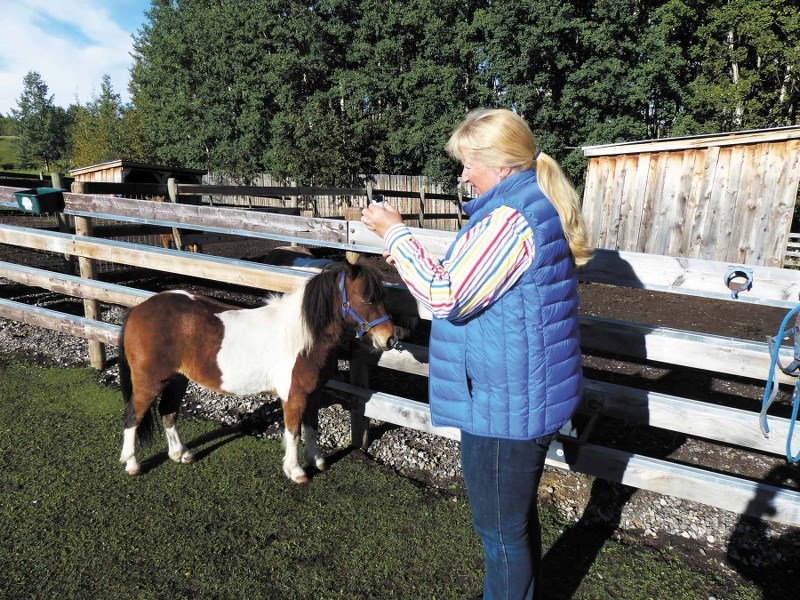 Vitamins, minerals important to your equine&#8217;s diet.