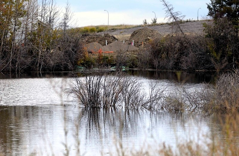 Cochrane currently boasts 204 wetlands.
