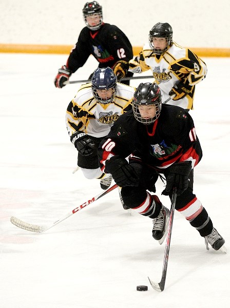 Bow Valley Timberwolves forward Zachary Dartnall carries the puck as the Timberwolves took on the Medicine Hat Venom on Oct. 26. The T-wolves schooled the Venom 7-2 in South