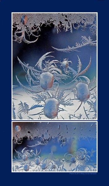 Jubilant arabesques of frost on the stage of our kitchen window captured our imaginations. (Detail, top, from left side of overall image, below.)