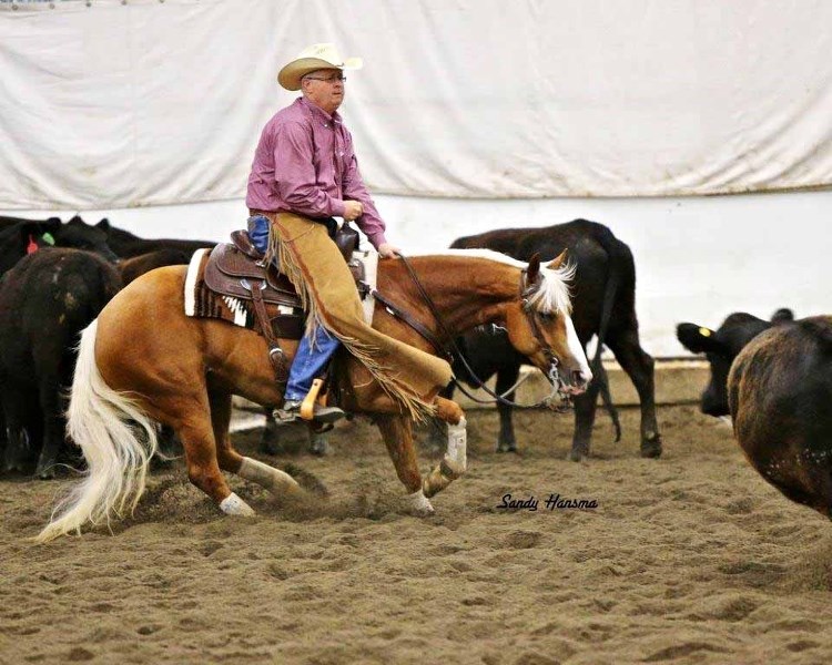 Lynn Edge and MYT have their game faces on during a cutting horse competition in Claresholm, Alta.