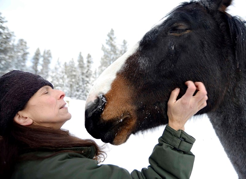 Sandie G. Hucal, director of the Free Spirit Sanctuary just north of Cochrane, has been taking in horses and said she&#8217;s gained a special bond with some of the wild