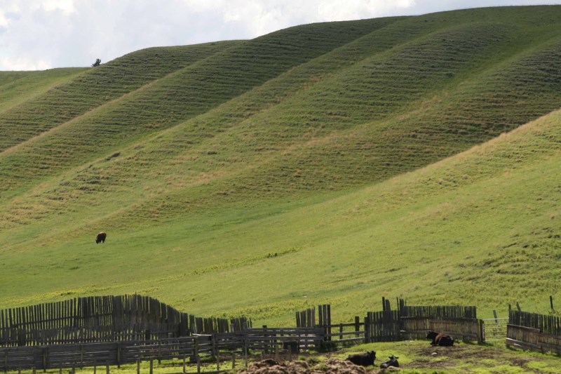 The Glenbow Ranch Park Foundation wants you to name its new project.