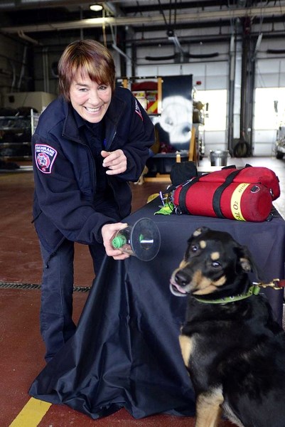Cochrane Firefighter Leanne Hall and Keener, a mixed breed dog, show off the Cochrane Fire and Protective Services latest technology for the toolkit Jan. 31. An animal
