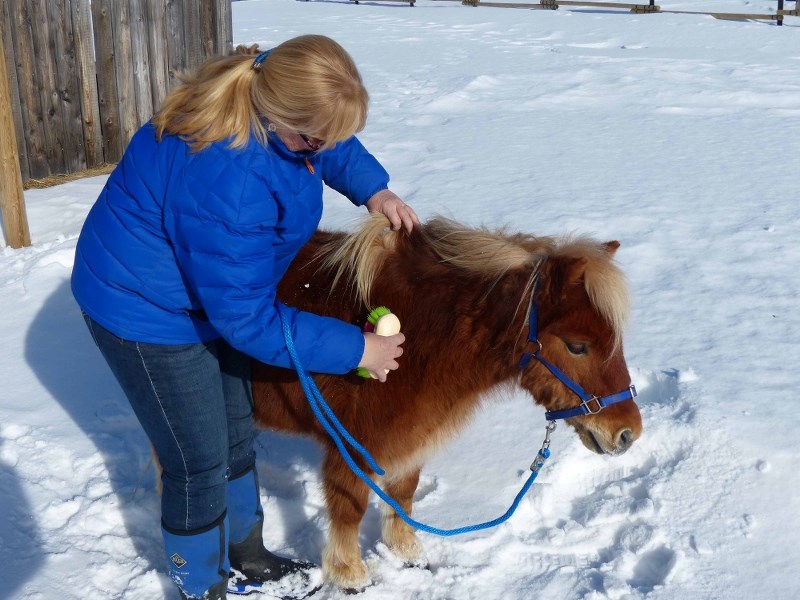 Grooming your horse for the coming spring is important.