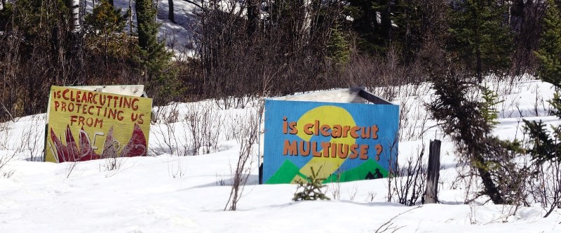 Signs are displayed in West Bragg Creek protesting logging operations and the slash burning of trees in the area.