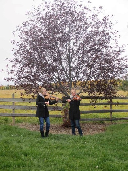 Kate, left, and Jessica Pereversoff will provide the music for the Water Valley tea event.