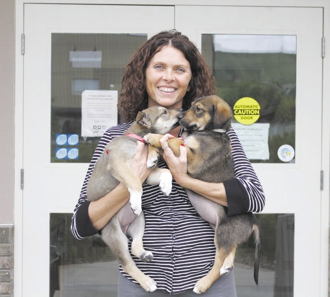 Cochrane &#038; Area Humane Society executive director Tracy Keith is honoured that the shelter was named best charitable organization in the Eagle&#8217;s Best of Cochrane