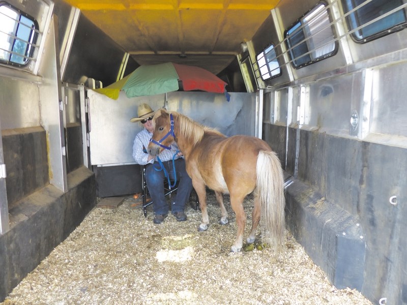 Kathleen and Kipper negotiating trailer size.