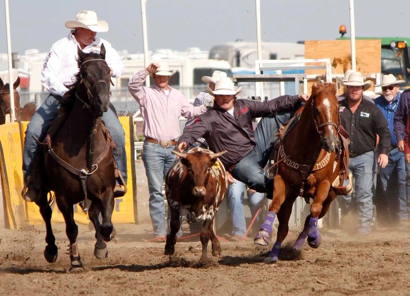 Tanner Milan (left) hazes for older brother Baillie while Straws (right, black shirt) monitors the action at the Strathmore Stampede steer wrestling slack performance Aug. 1. 