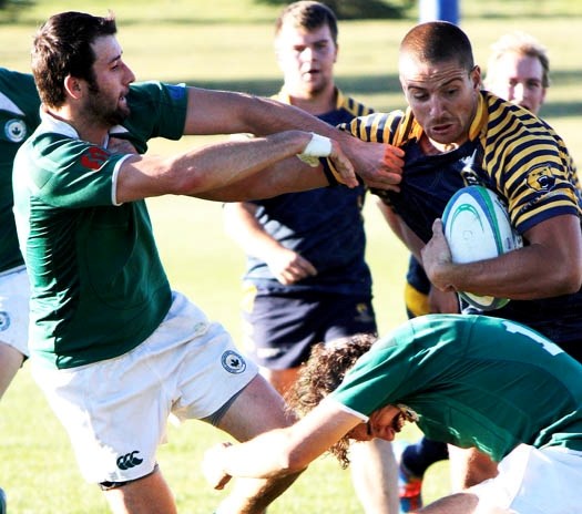 Bow Valley Grizzlies&#8217; Dave Evans bulls his way through Calgary Irish defenders in Calgary Rugby Union Div. 3 men&#8217;s semifinal play Sept. 20 in Cochrane. Grizzlies