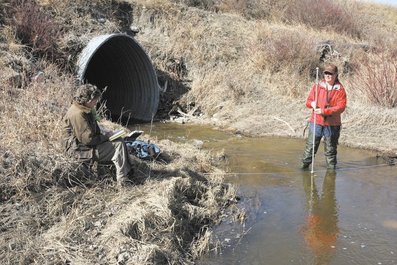 Sarah Leete, left, from Little Creeks and Rough Fescue Appreciation Society takes notes as biologist Sandi Riemersma conducts water testing in Horse Creek.