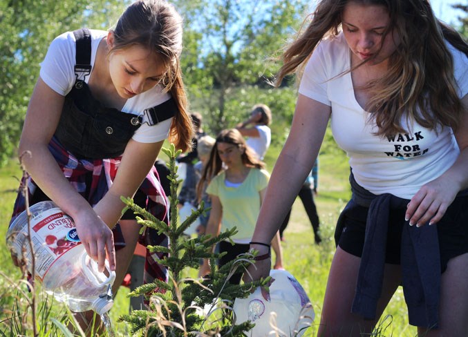 Walk for Water WEB