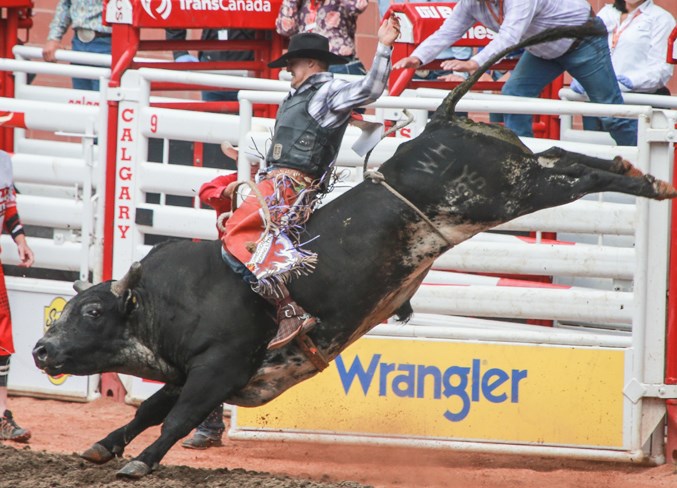 CochraneEagle_Rodeo-21