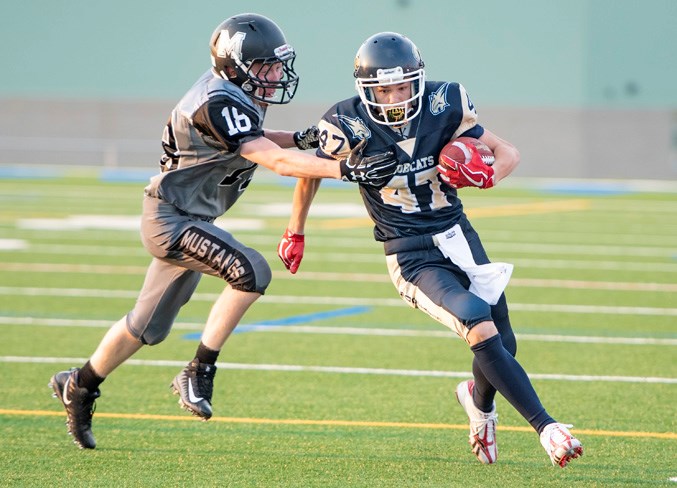 Bobcats vs. Mustangs