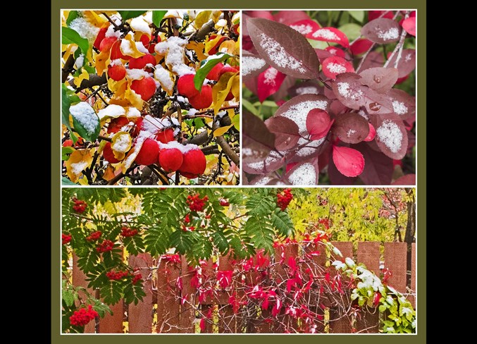 Collage-CWW180920-ThreeSeasons-v2-e11-10x9e-frm