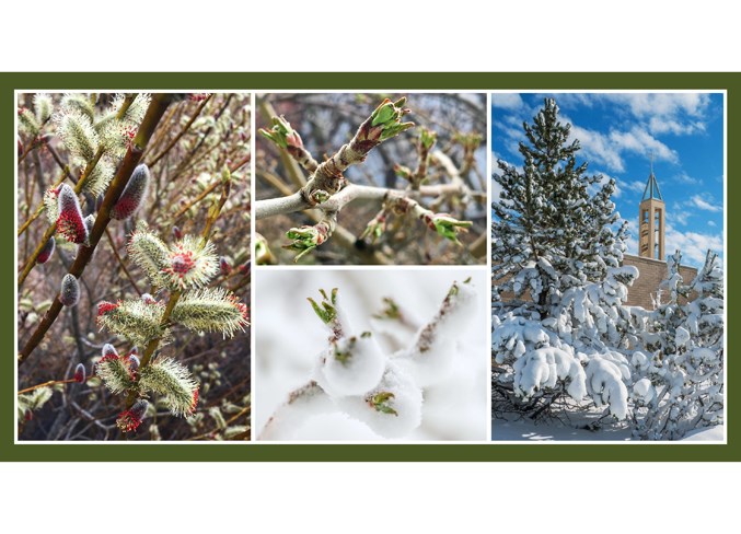Collage-cww190502-spring-winter-e11-10x4hqes-frm(1)