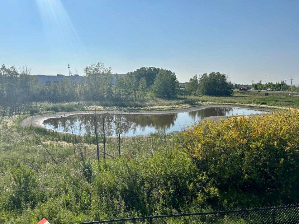 ln-willowwetlands1
