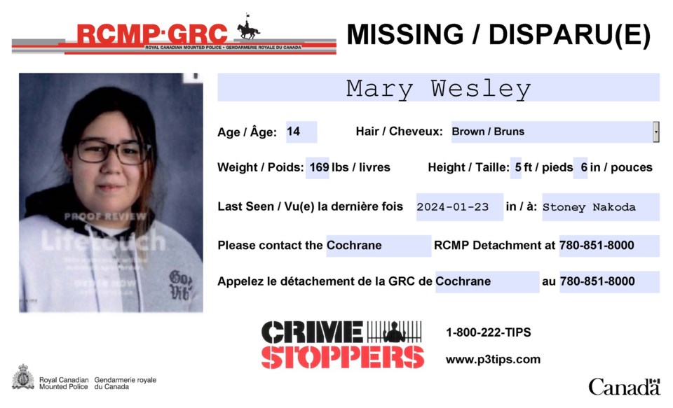mary-wesley-poster