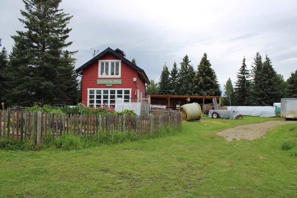 Providence Lane Homestead was a host of Alberta's Open Farm Days on August 16. 