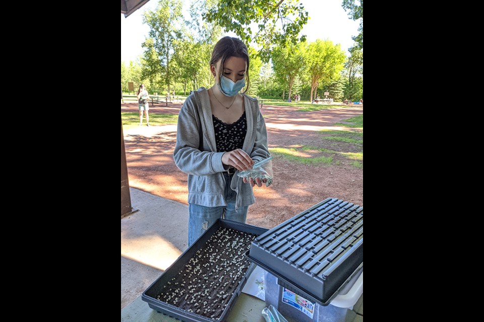 Prairie Winds 4-H Club members learn about microgreens.
Amy Johnson Submitted Photo