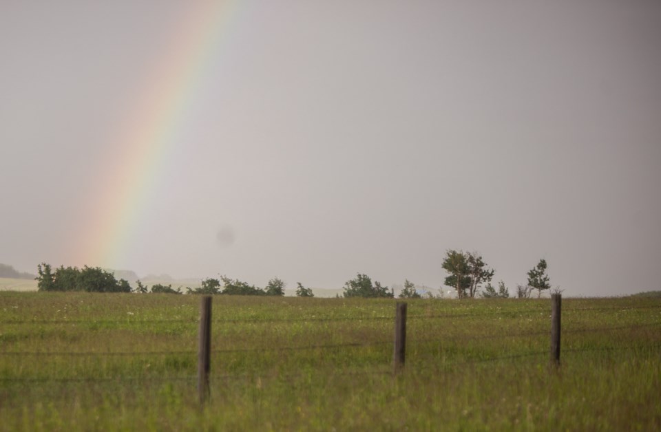 Rainbow