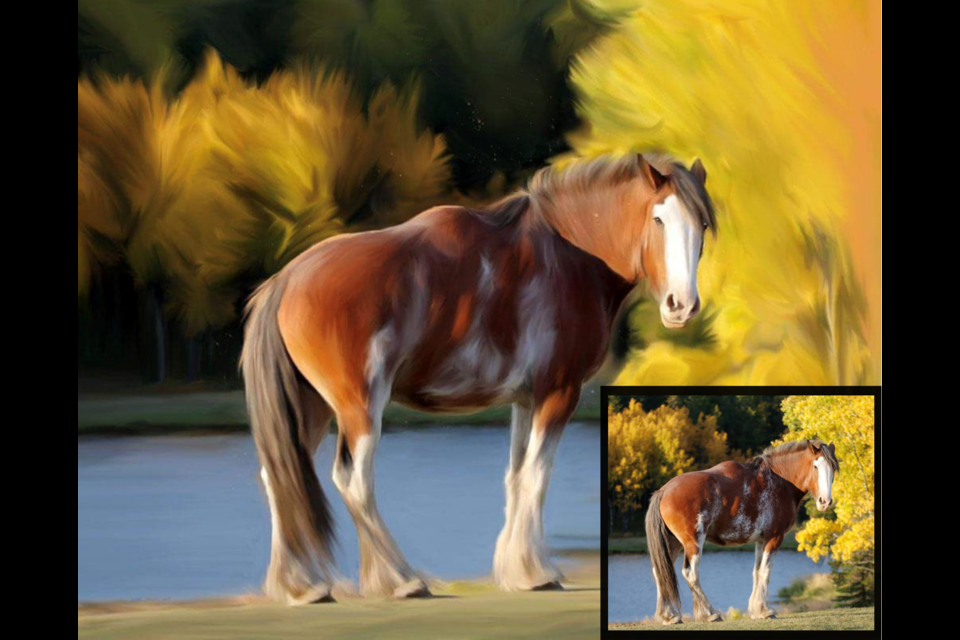 Free Spirit Sanctuary Clydesdale Zoe, who has scoliosis, is one of more than 80 items available in the animal art auction for the shelter. The original painting was done by Mafawnwee Olivia Kenton of Cranky Coyote Studios. Submitted Photo