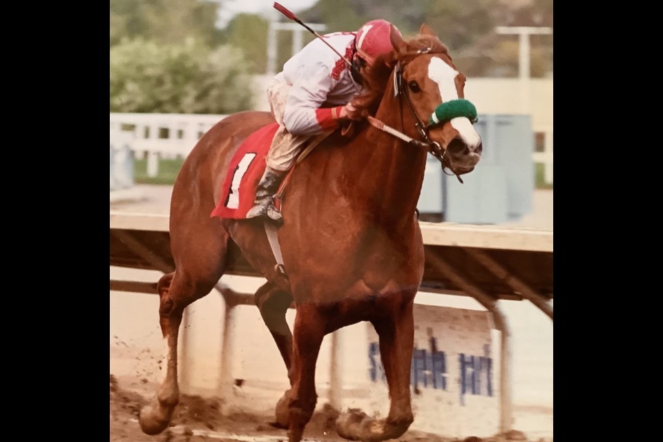 Jockey and Cochrane resident Chris McGregor will be inducted into the 2024 Alberta Sports Hall of Fame.