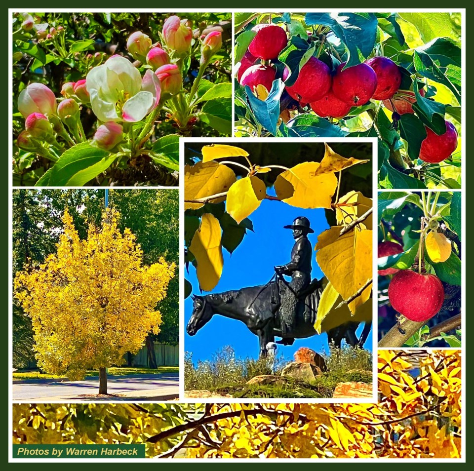 thumbnail_collage-cww230914-autumnmenofvision-collage-v2-e11-8x8-frm