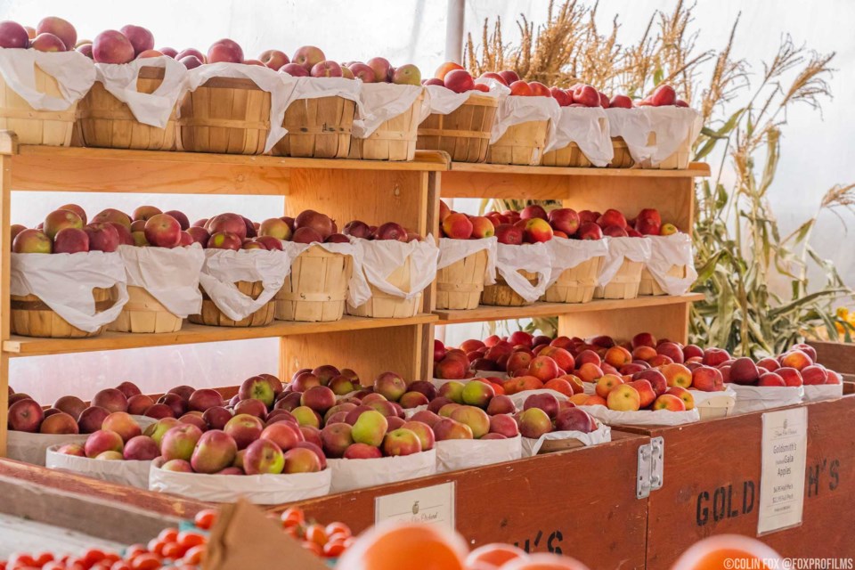 The Apple Pie Trail was inspired by South Georgian Bay’s apple-growing history.