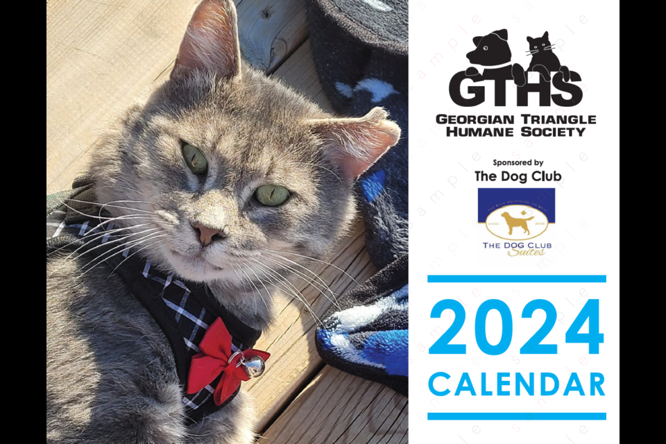 Frankenstein, or Bobby, made the cover of the Georgian Triangle Humane Society's 2024 calendar.