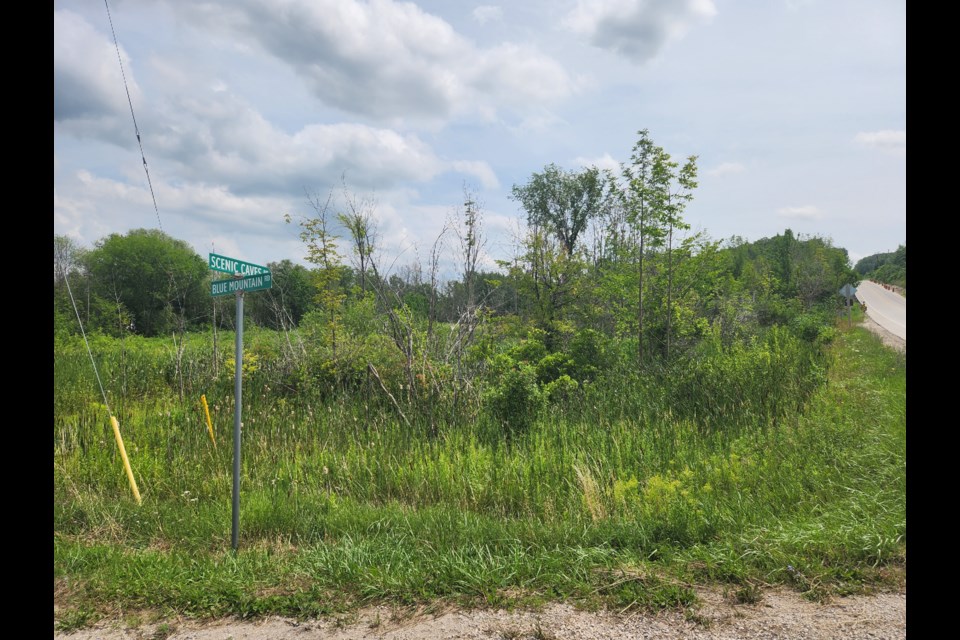 This piece of property near the Blue Mountain Village would be the home of two five storey dorm-style housing developments should the proposal go ahead.