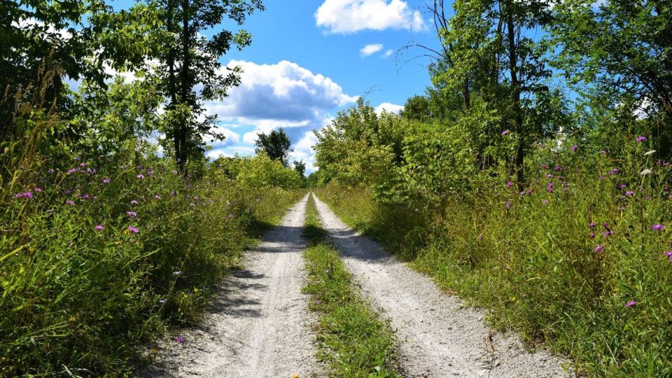grey-county-trail