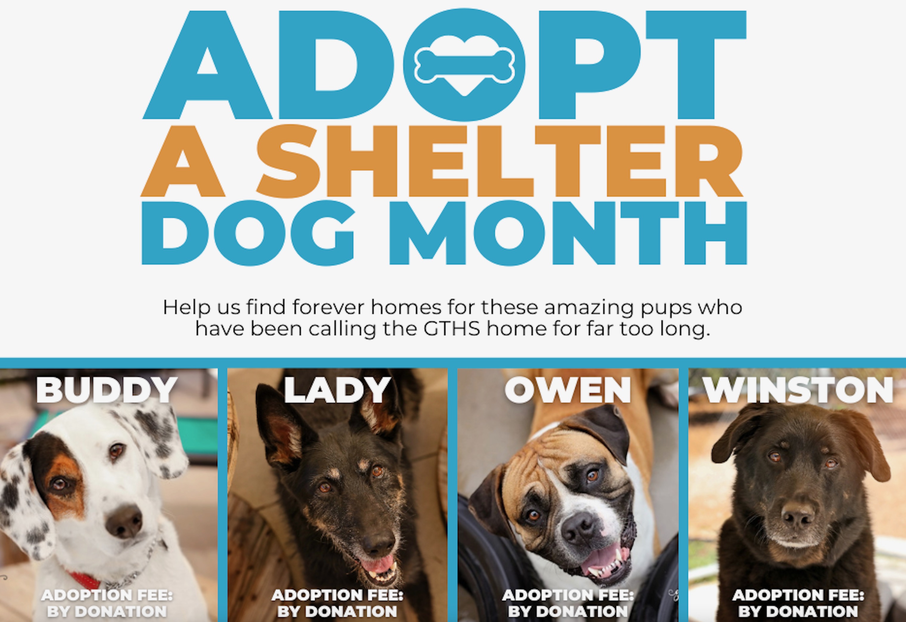 Dog shelter sales house near me