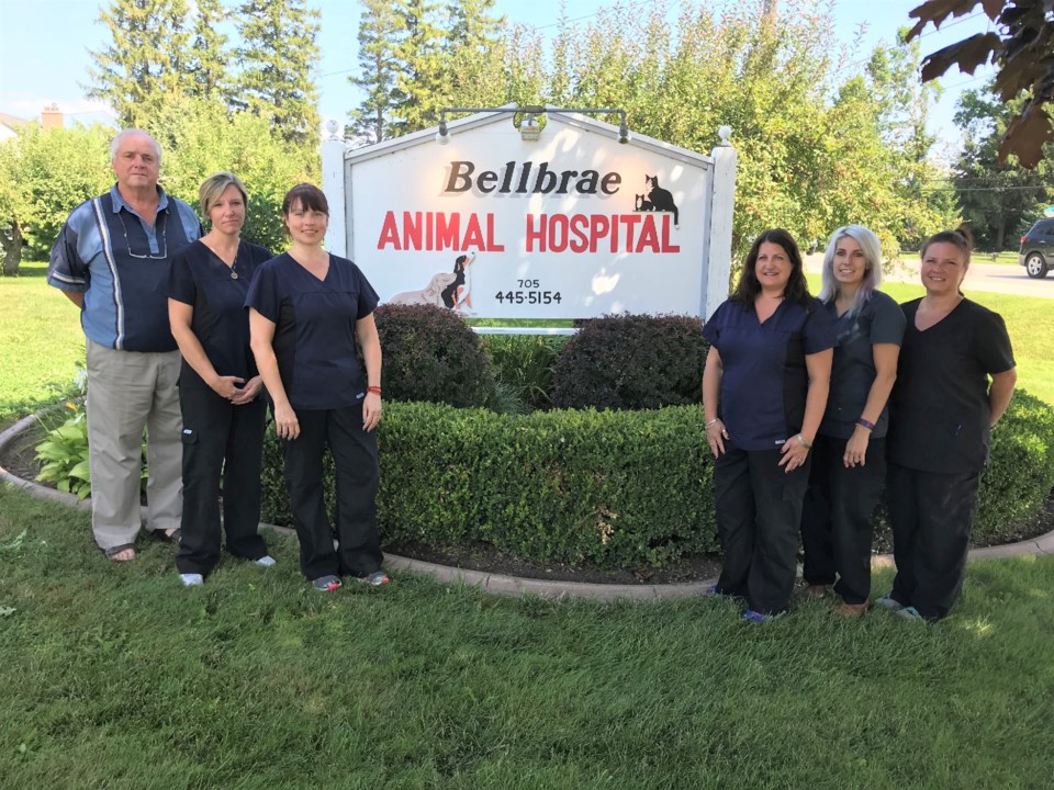 Bellbrae Animal Hospital