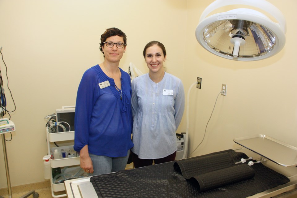 Emily Weaver, vet technician, and Dr. Anick Amaro, director of medicine, will be working out of the GTHS Animal Hospital providing surgery and care for animals looking for homes. 